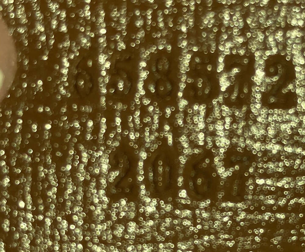 Gucci Interlocking G Patch Camera Bag #223520g12b - image 6